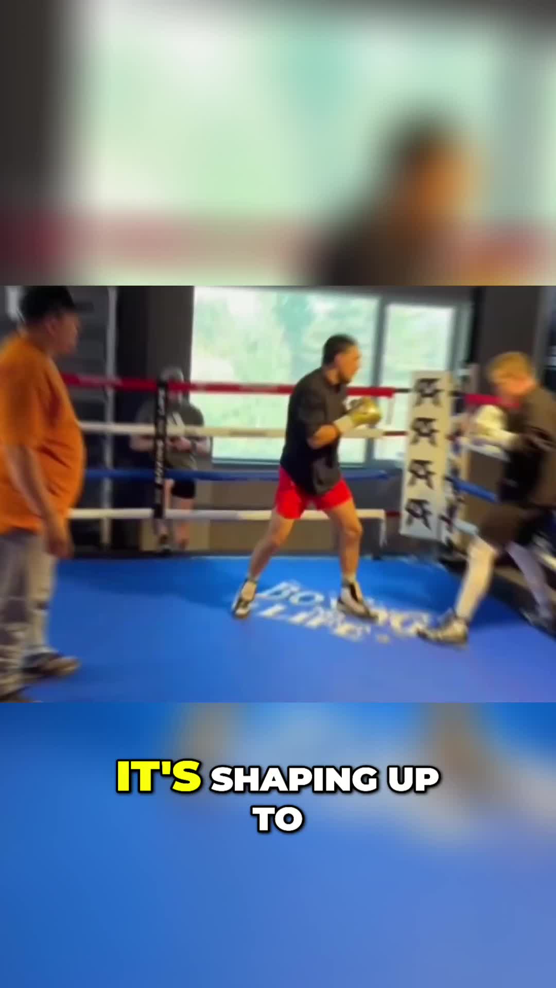 @Knockout News