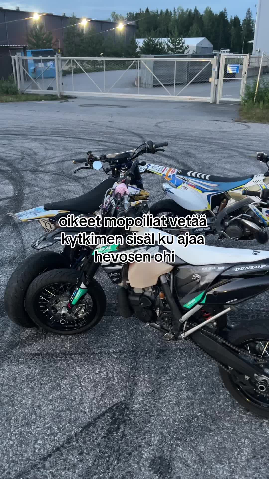 @luca🪼