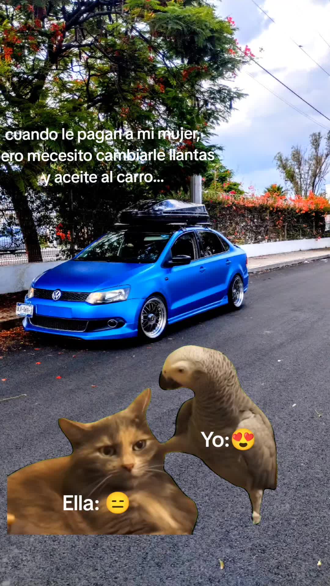 @Francisco Garay