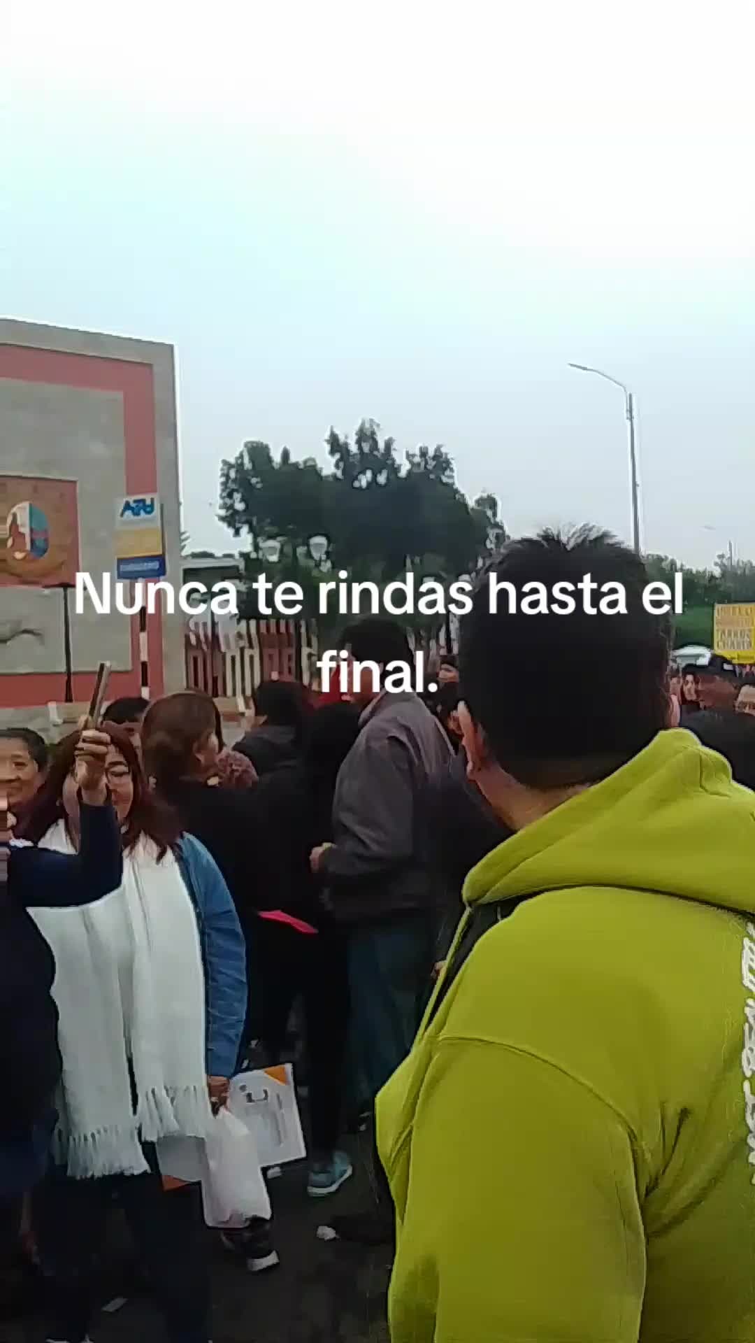 @Academia Saco 20