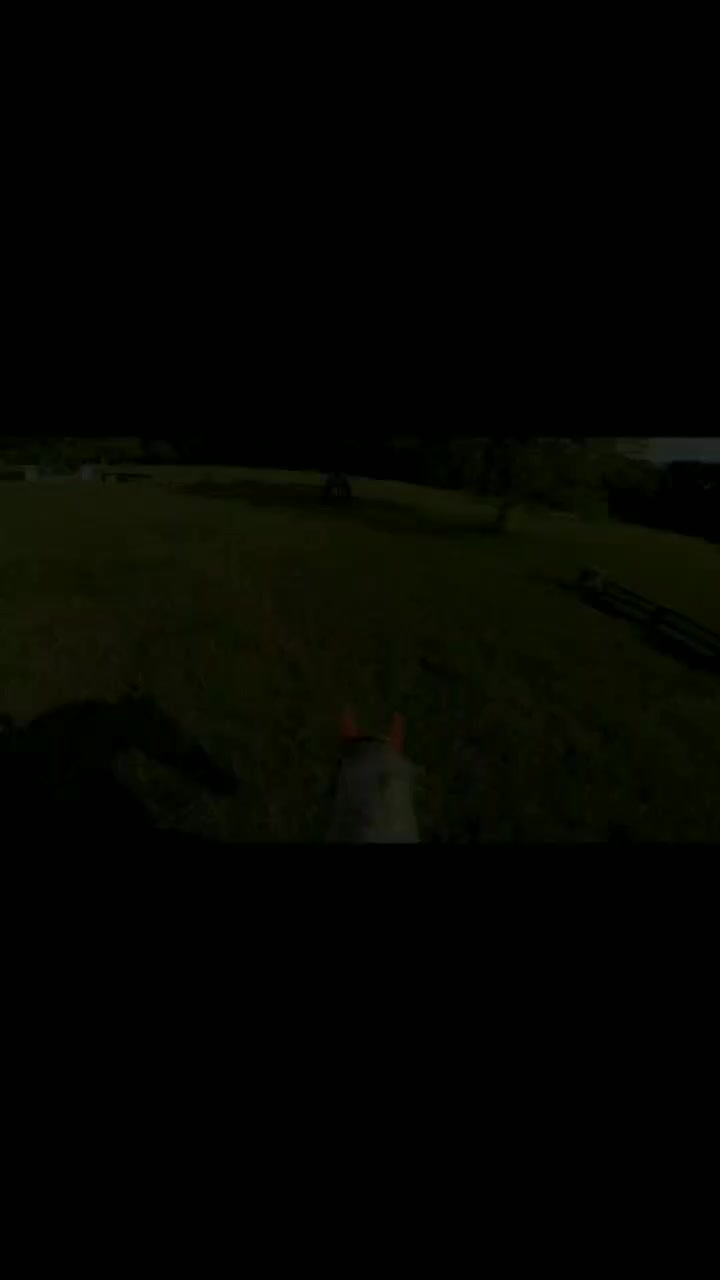 @TheHorseGallery