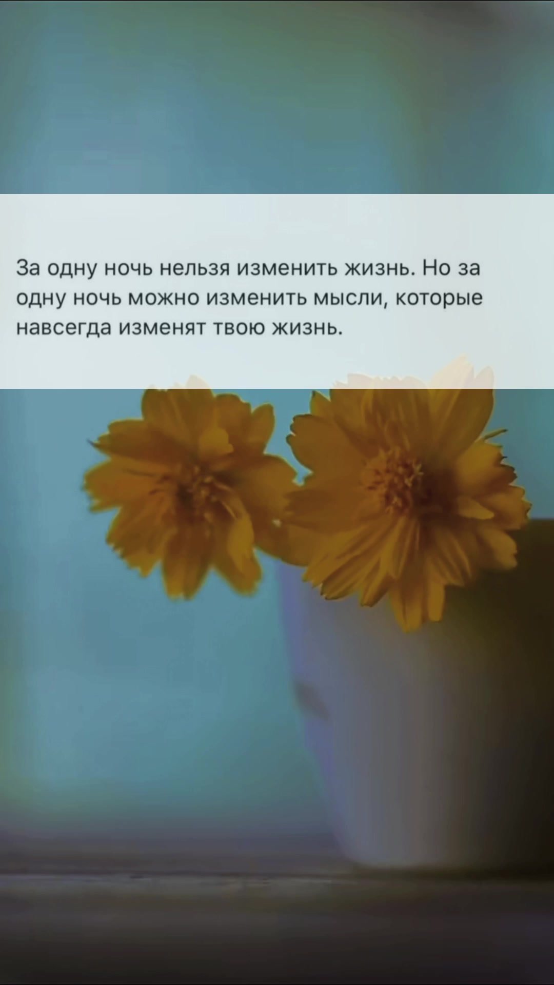 @А🥀