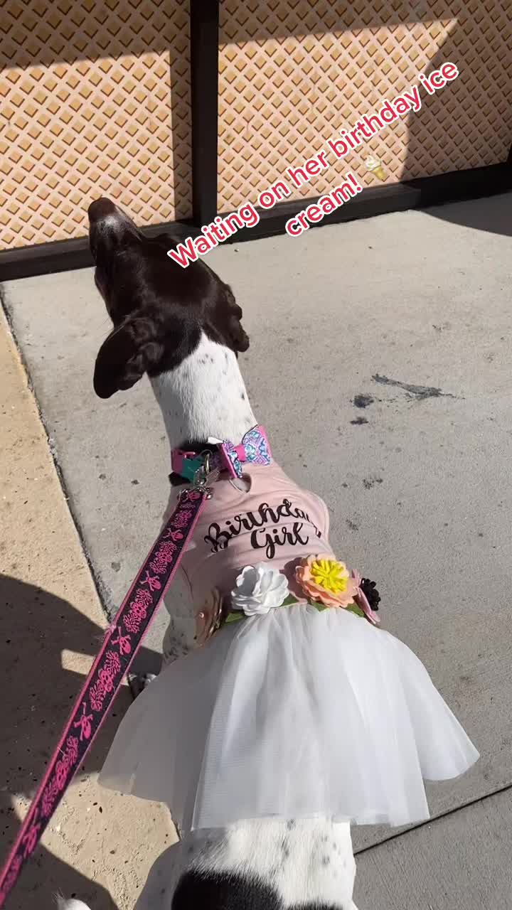 @pawzgonewild