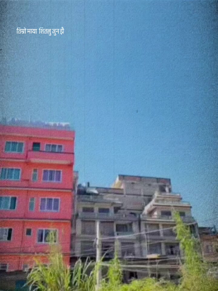 @mirabasnet