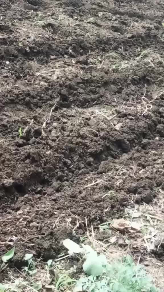 @सचिन सुरवसे