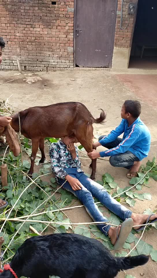 @Shiv Kumar