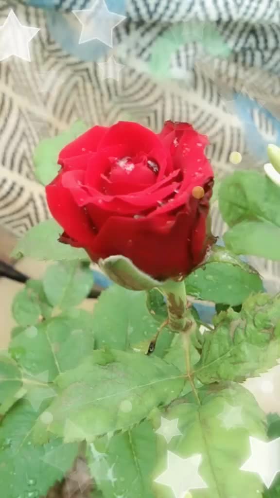 @sanju 1999