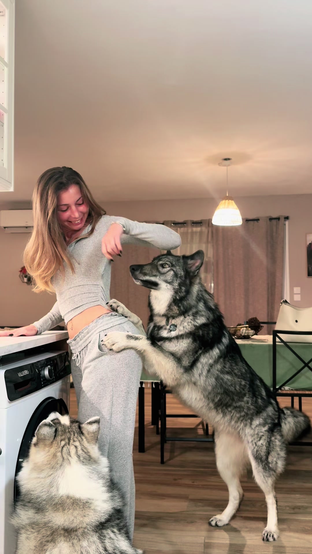 @Real_ArcaneWolfdog