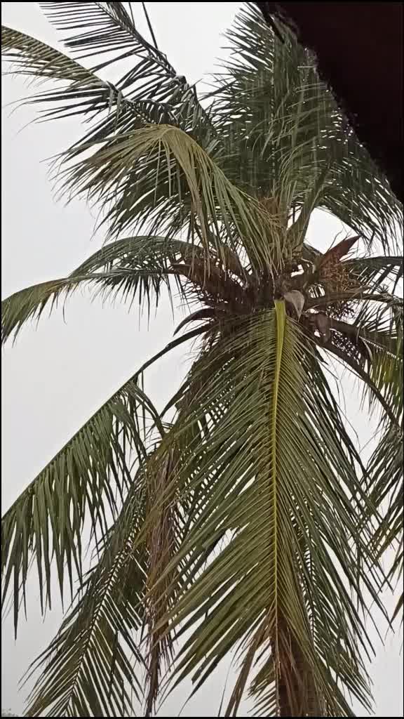 @AbhishekPatil