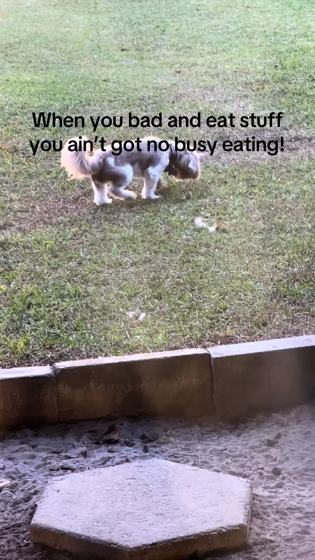 @Our Family Farm