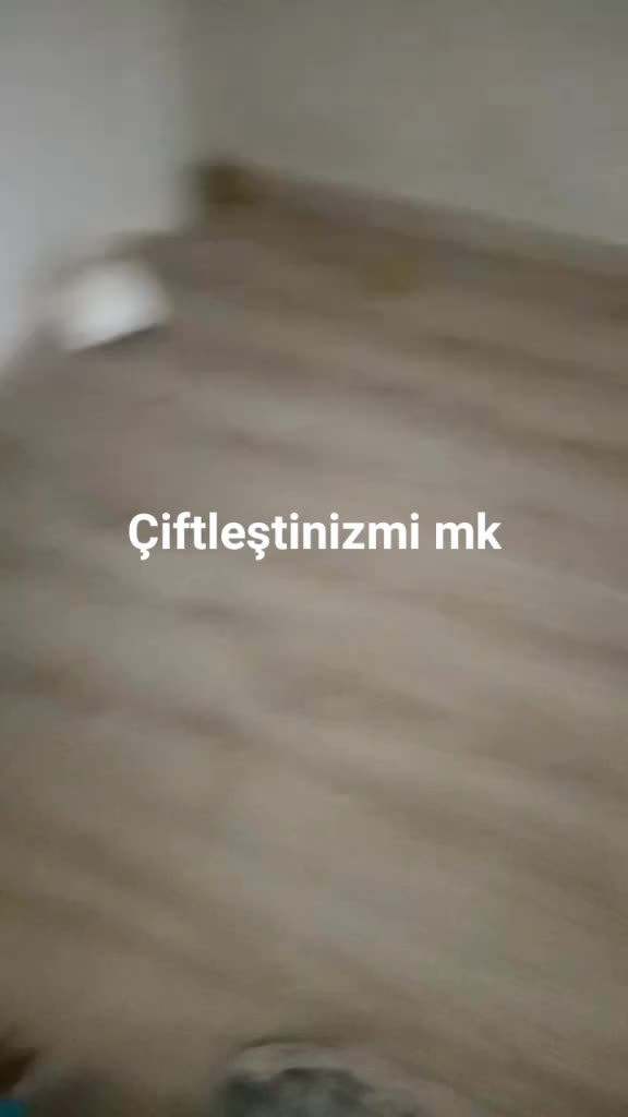 @https://youtube.com/shorts/H8n