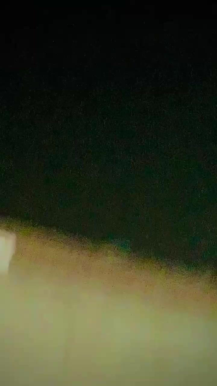@زہریلابٹ💪