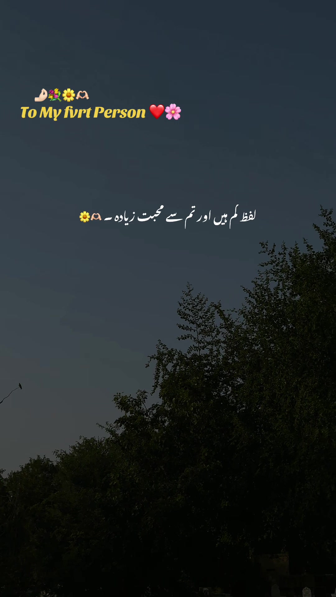 @𝘼𝙨𝙝𝙠-𝙚-𝘿𝙞𝙡 ❤️🩹🥀