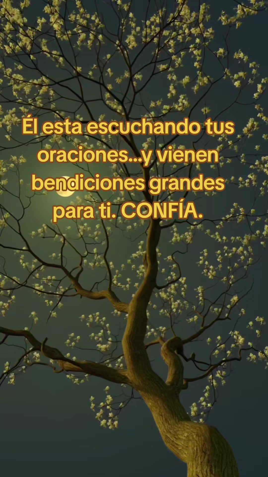@sapienciaconjuantamares