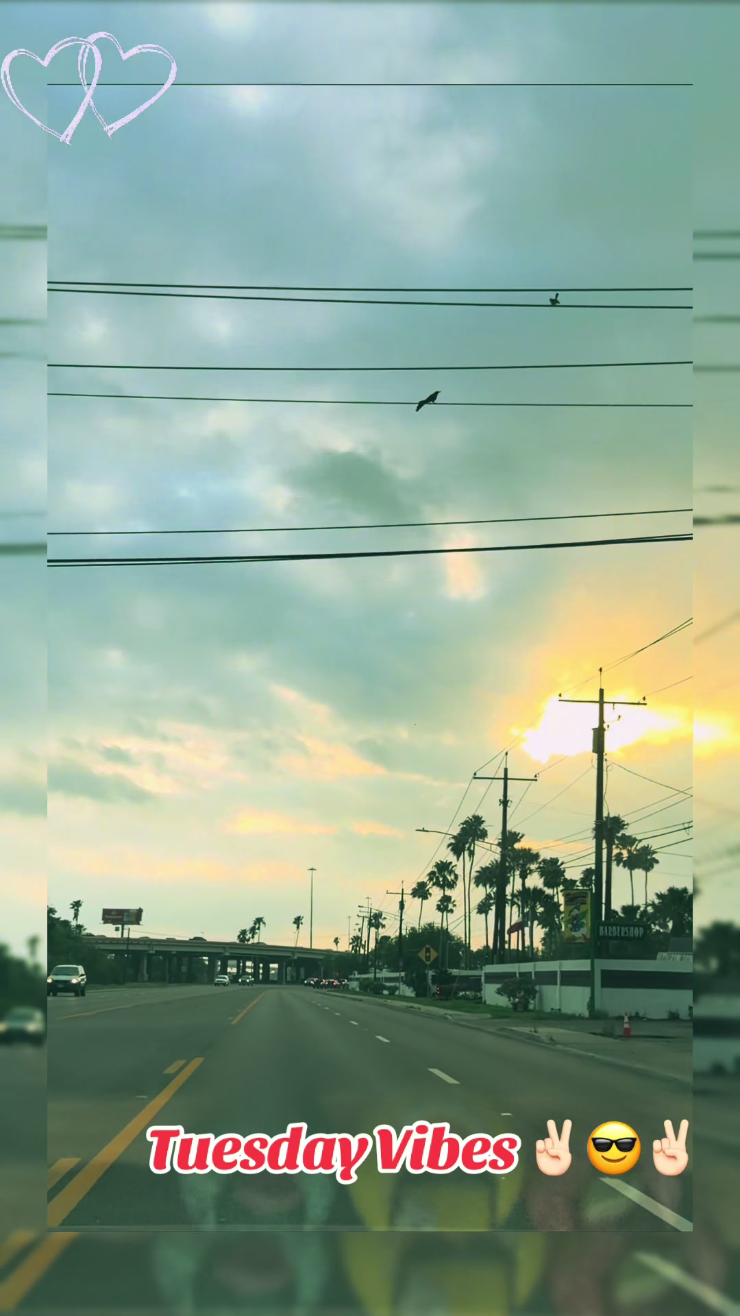 @sᴏʏ ᴊᴜᴀɴɪᴇ 💋