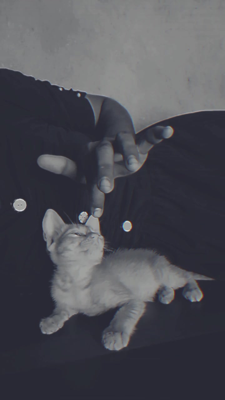 @🫶𝓡𝓞𝓦𝓓𝓨 ❤️𝓑𝓐𝓑𝓨🫶