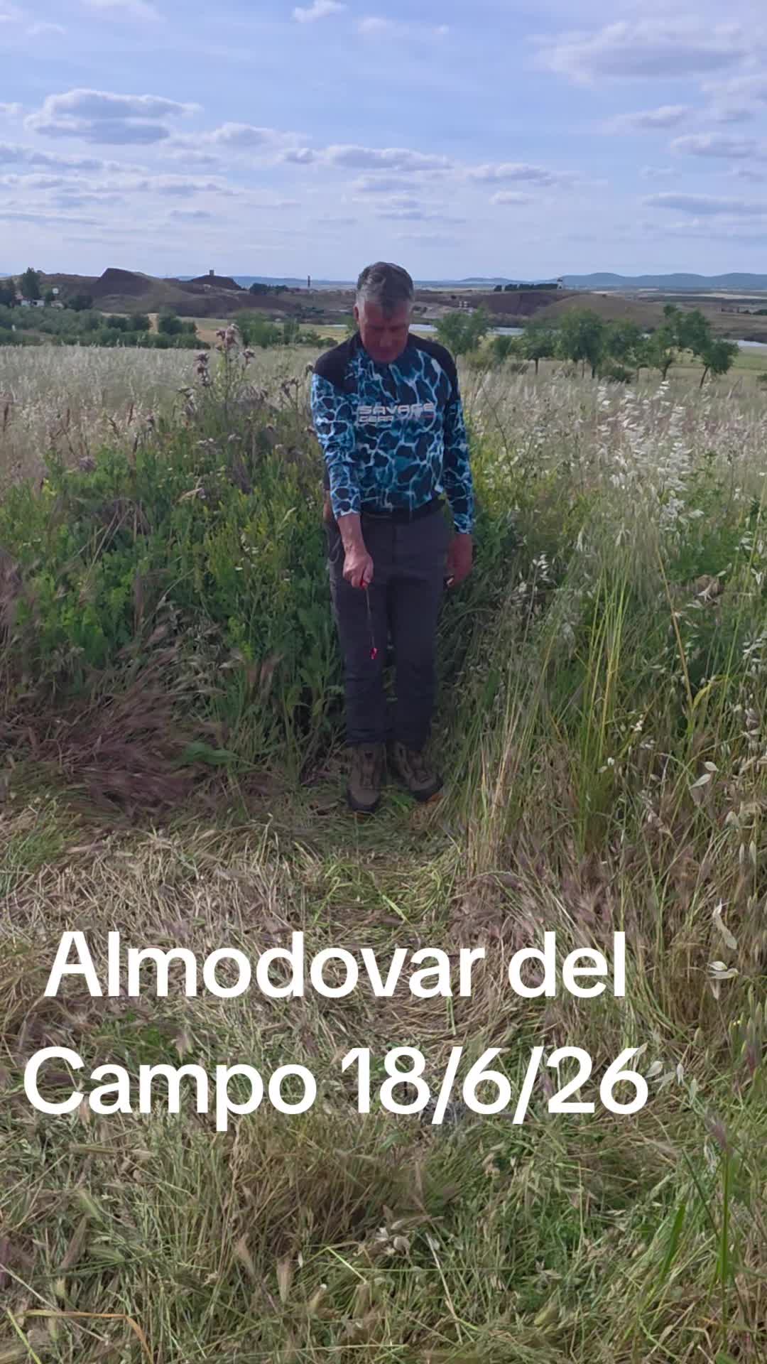 @Zahori Blas Moreno