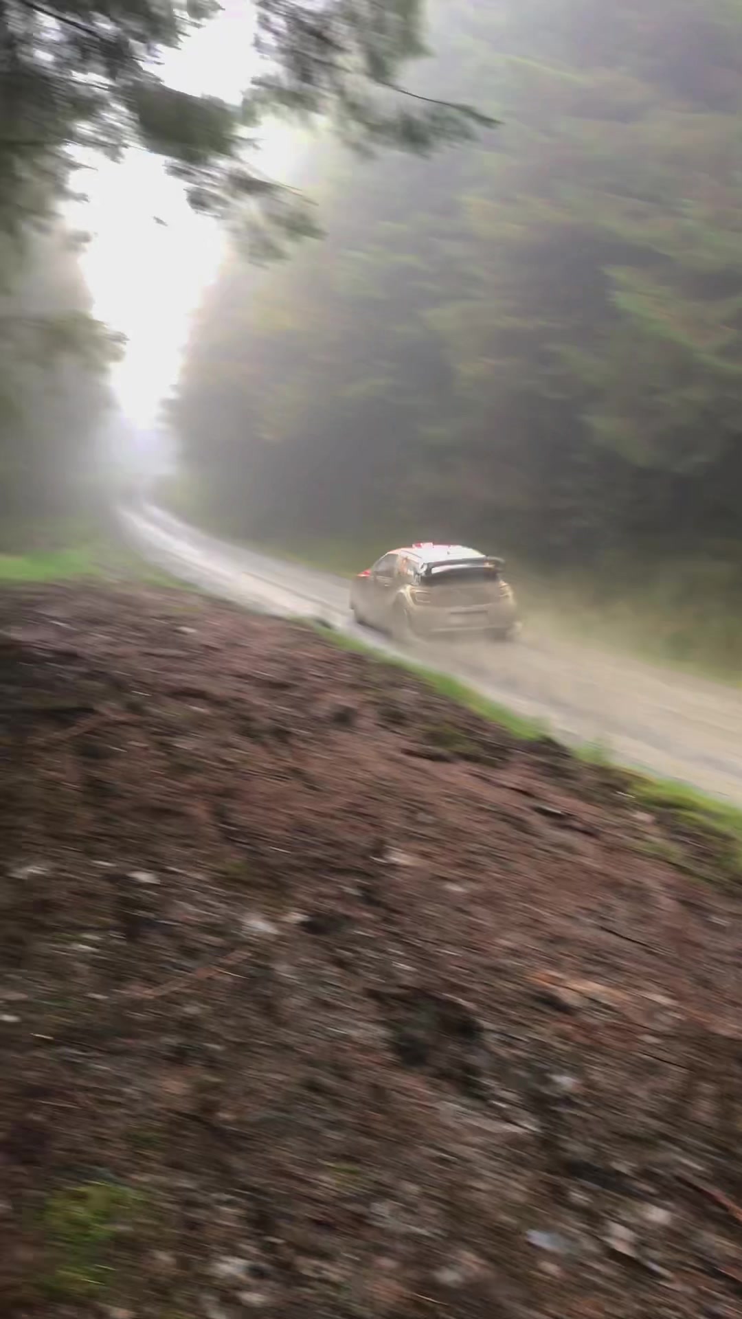 @Rally__Hub