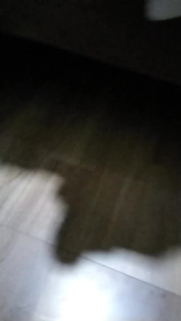 @່່່