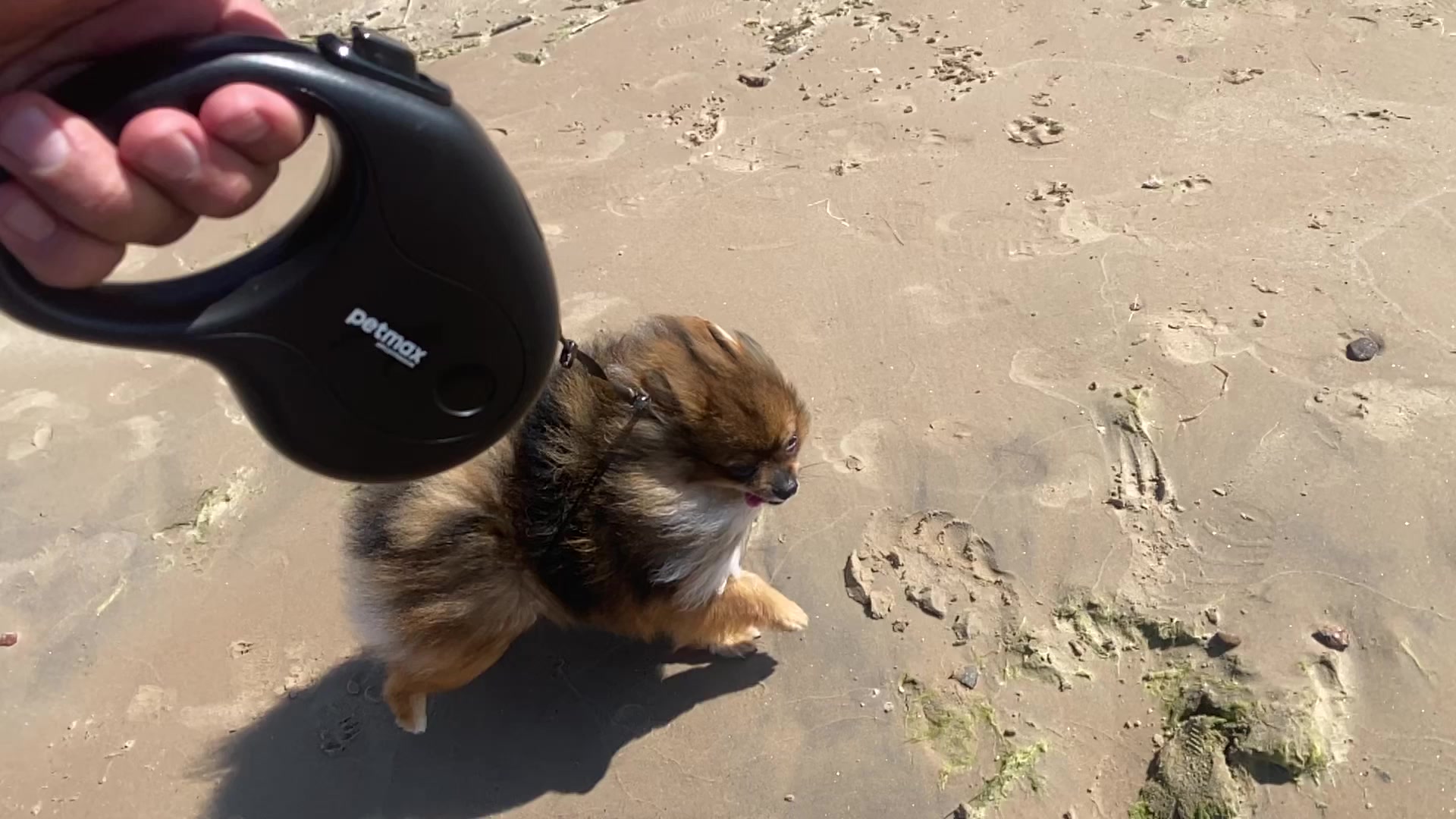@Виталий Юрьевич