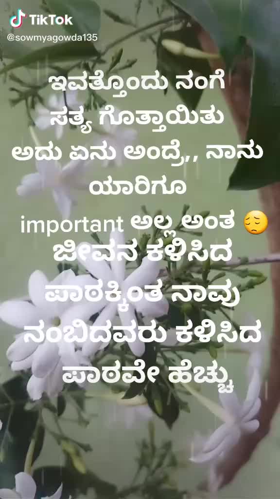 @user960115