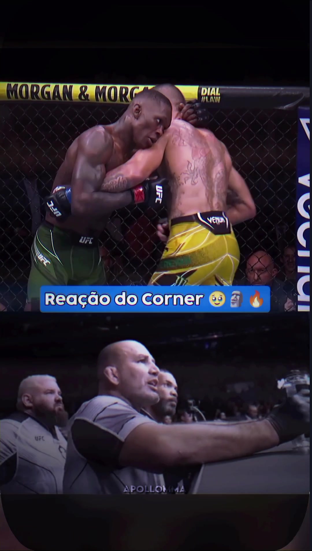 @Apollo 🇧🇷