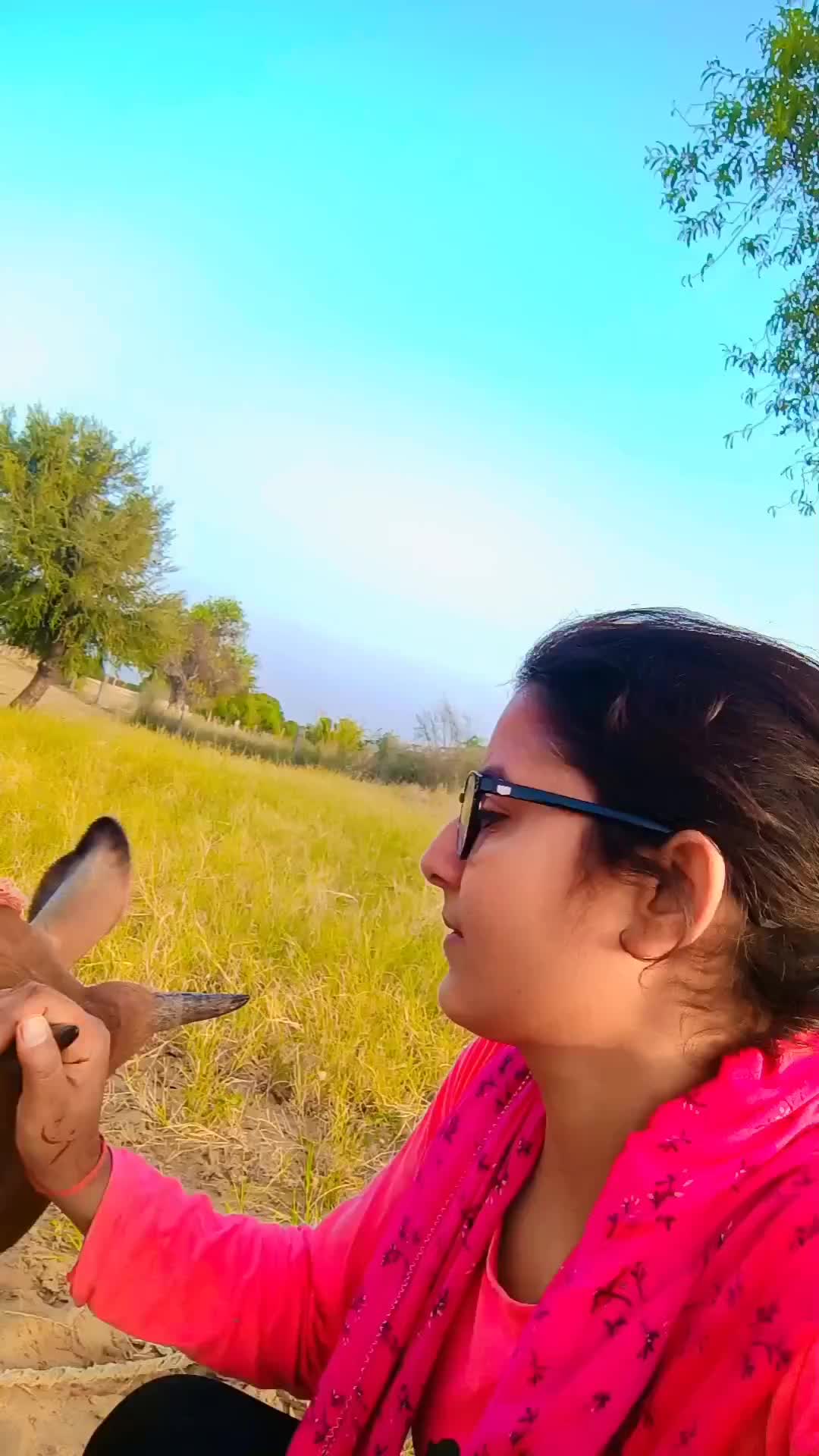 @rajsthanijhalak