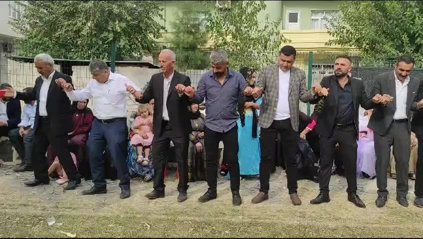 @HALAY 7373