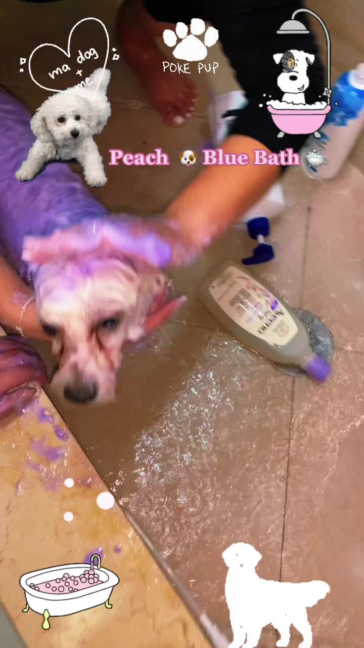 @Jacquie28