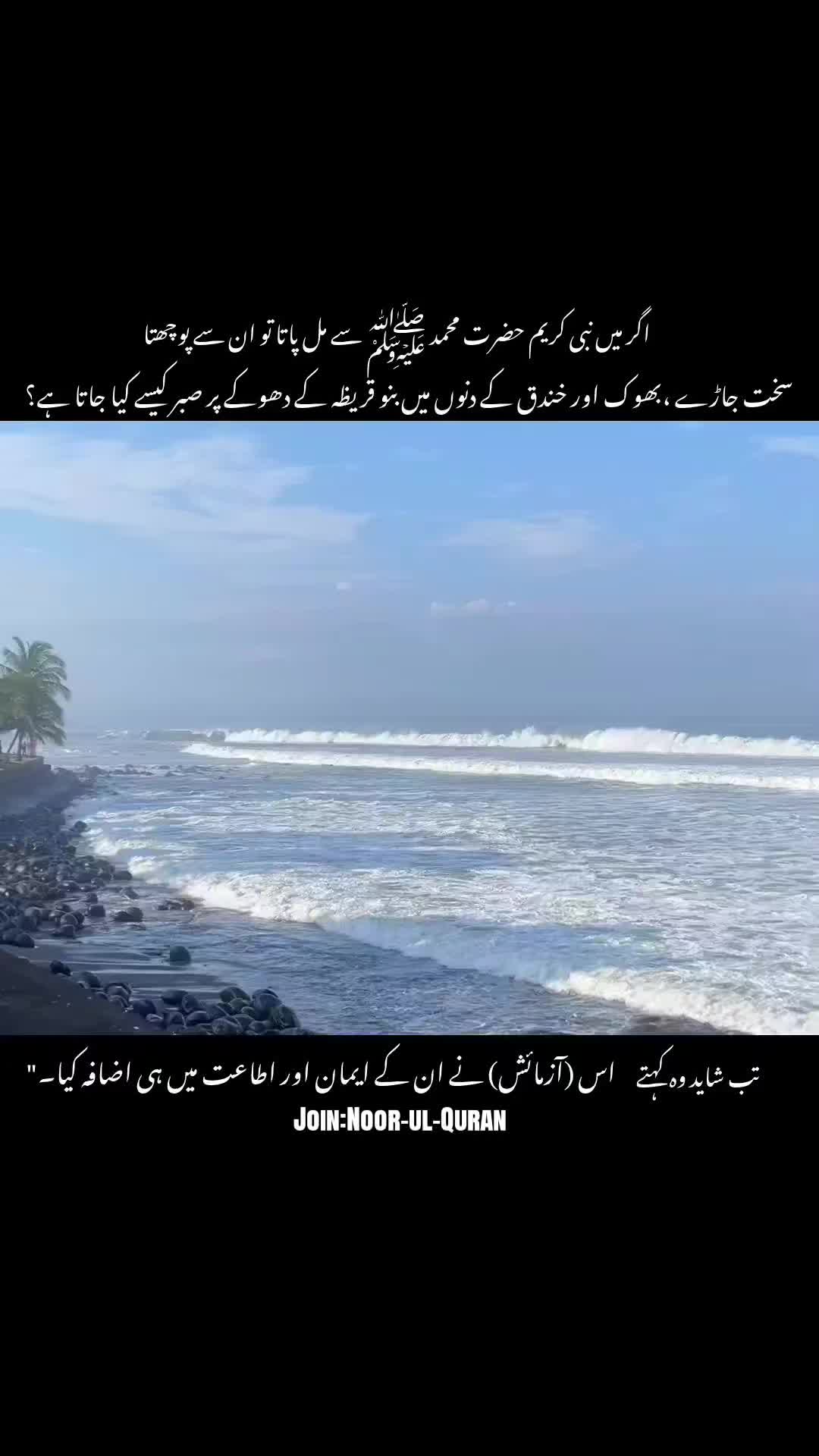 @قیس ✨🤍