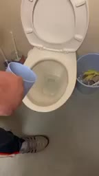 @Ddaily