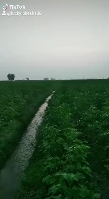 @user4317410627400
