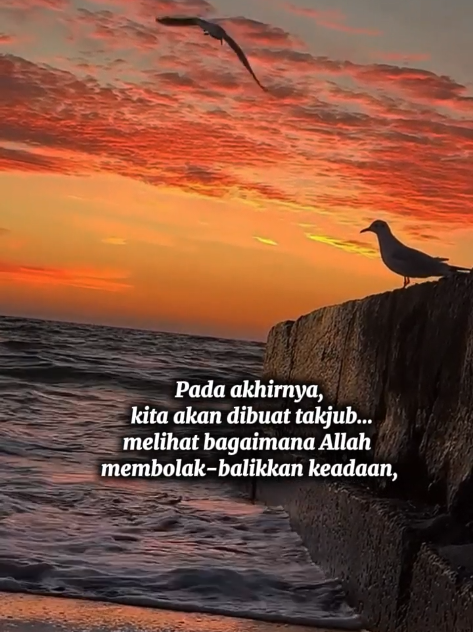 @Fazahra_Qolbu