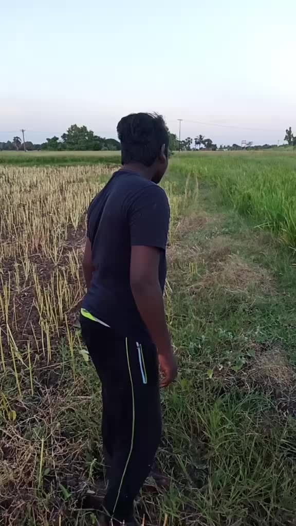 @Perarasu Perarasu