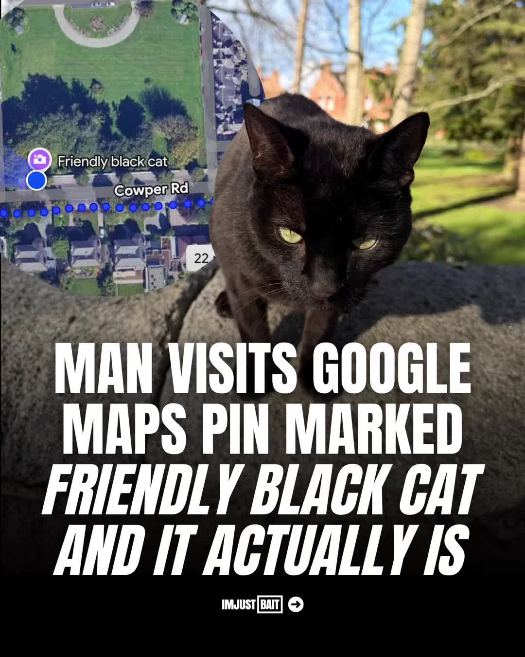 @IMJUSTBAIT