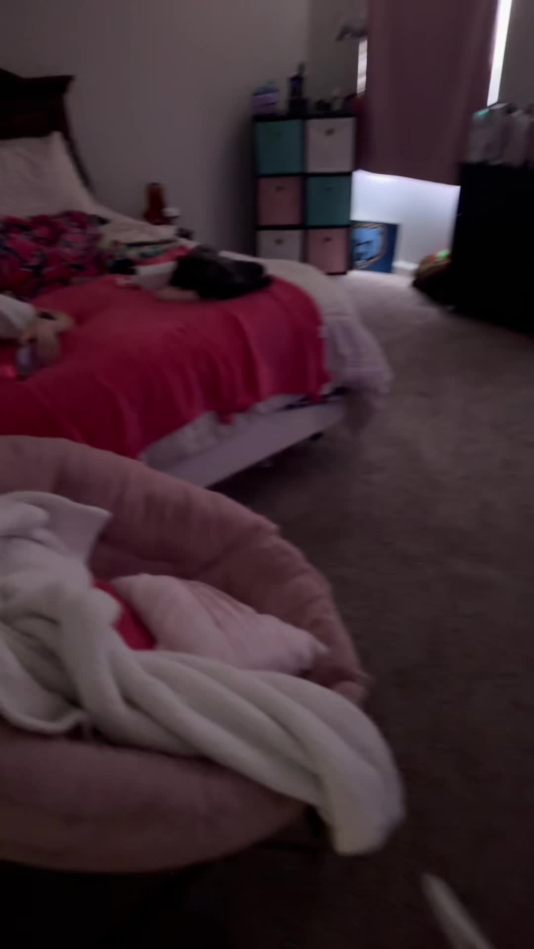 @TrixieWithDaTrixx