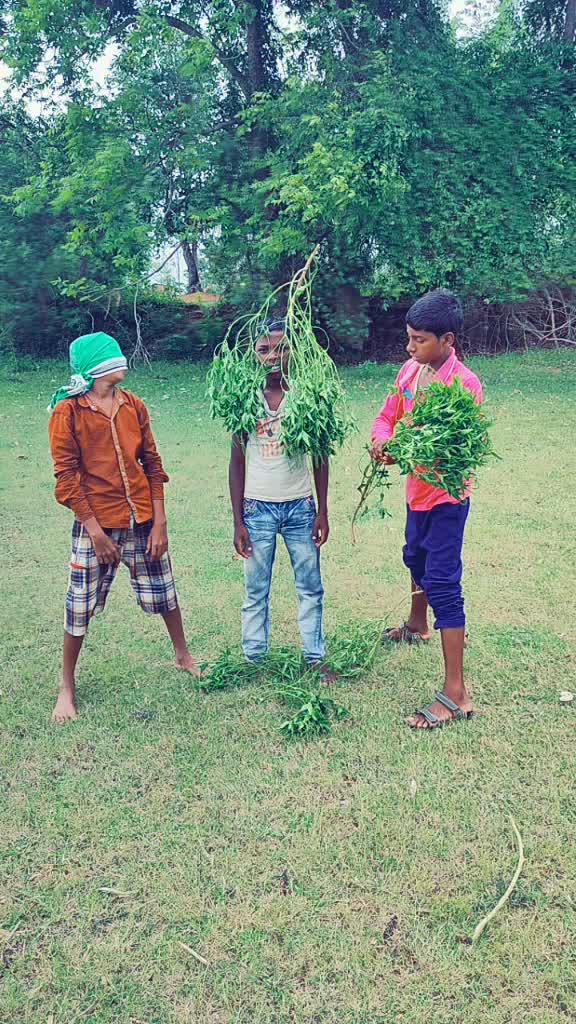 @Hemanta Mahato