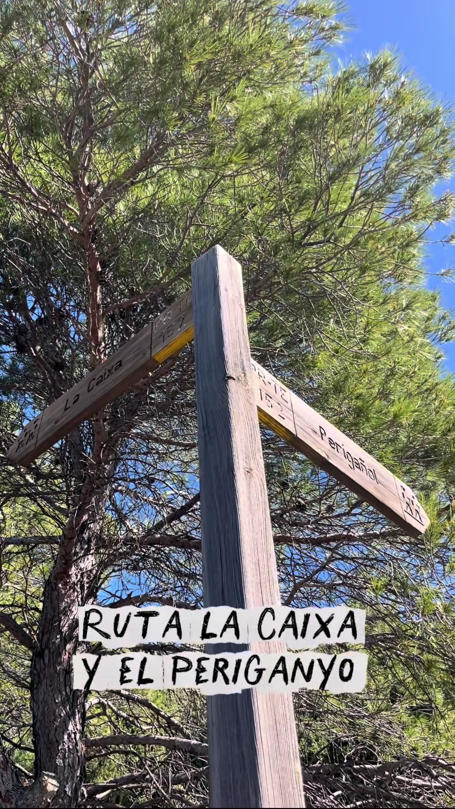 @Maria Suñer