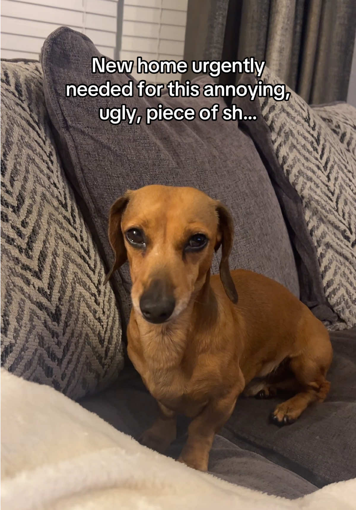 @Rebecca, Pip & Rolo