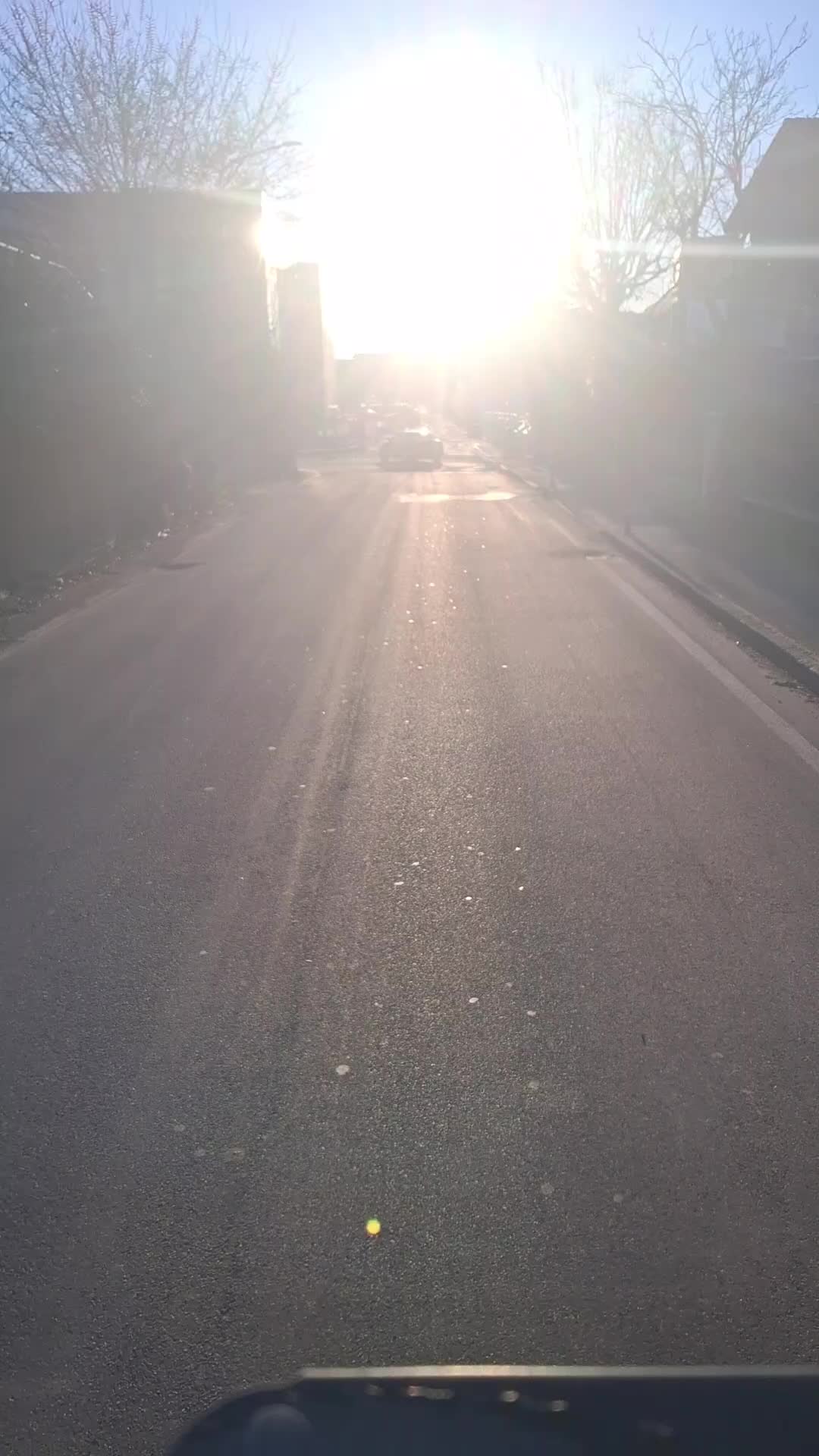 @BODO《SV93XXL》