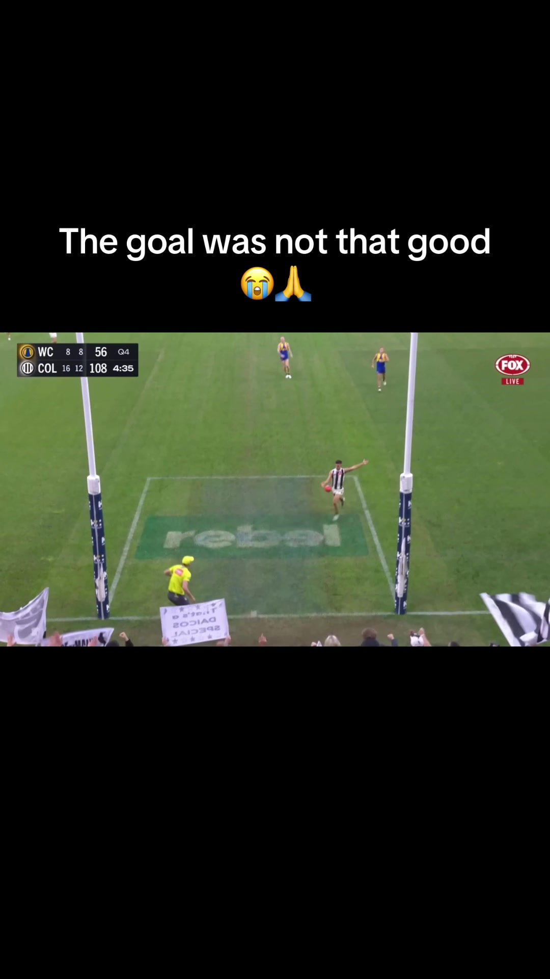 @Dom Sheed 🦅