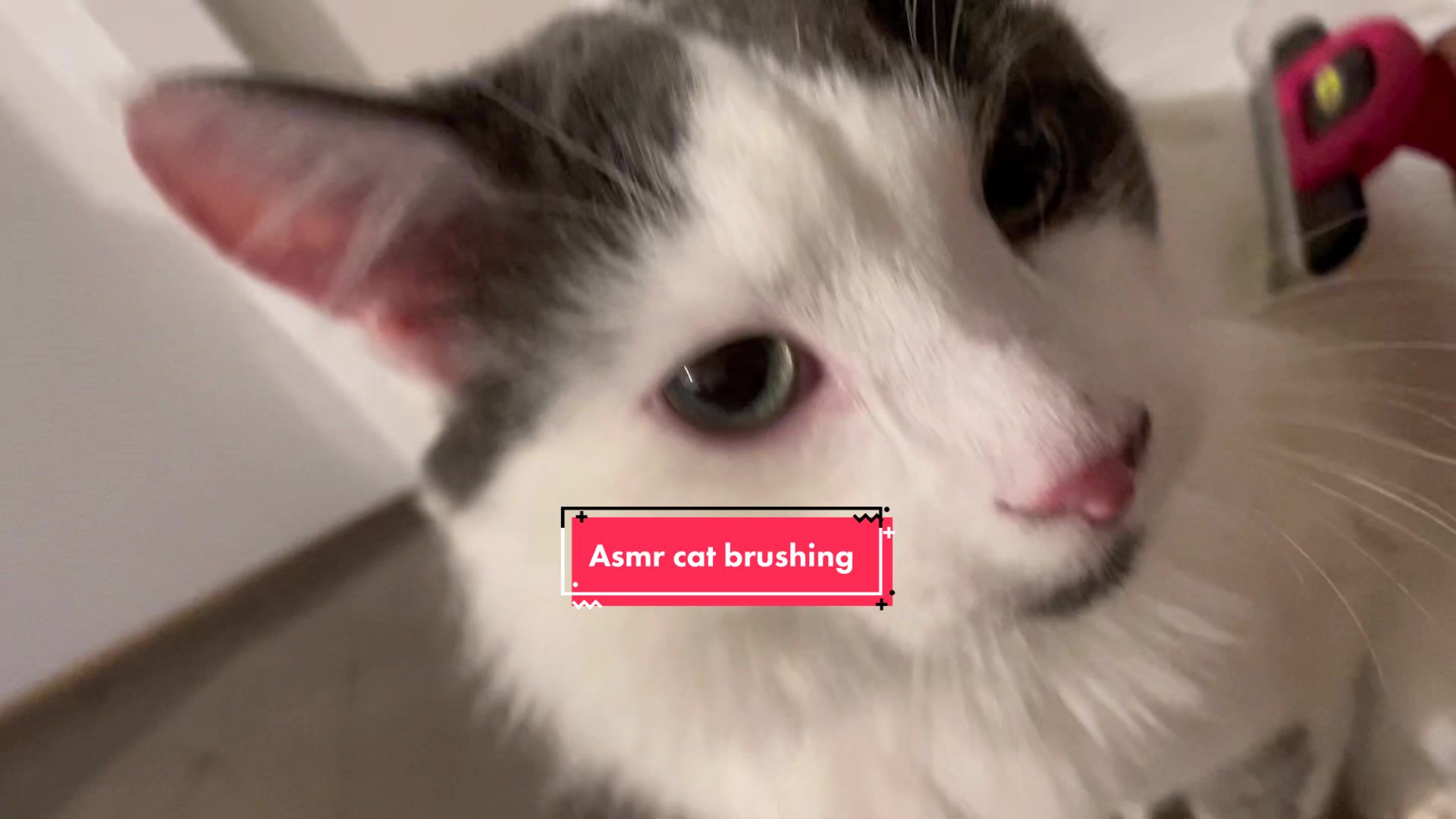 @FerociousRengar