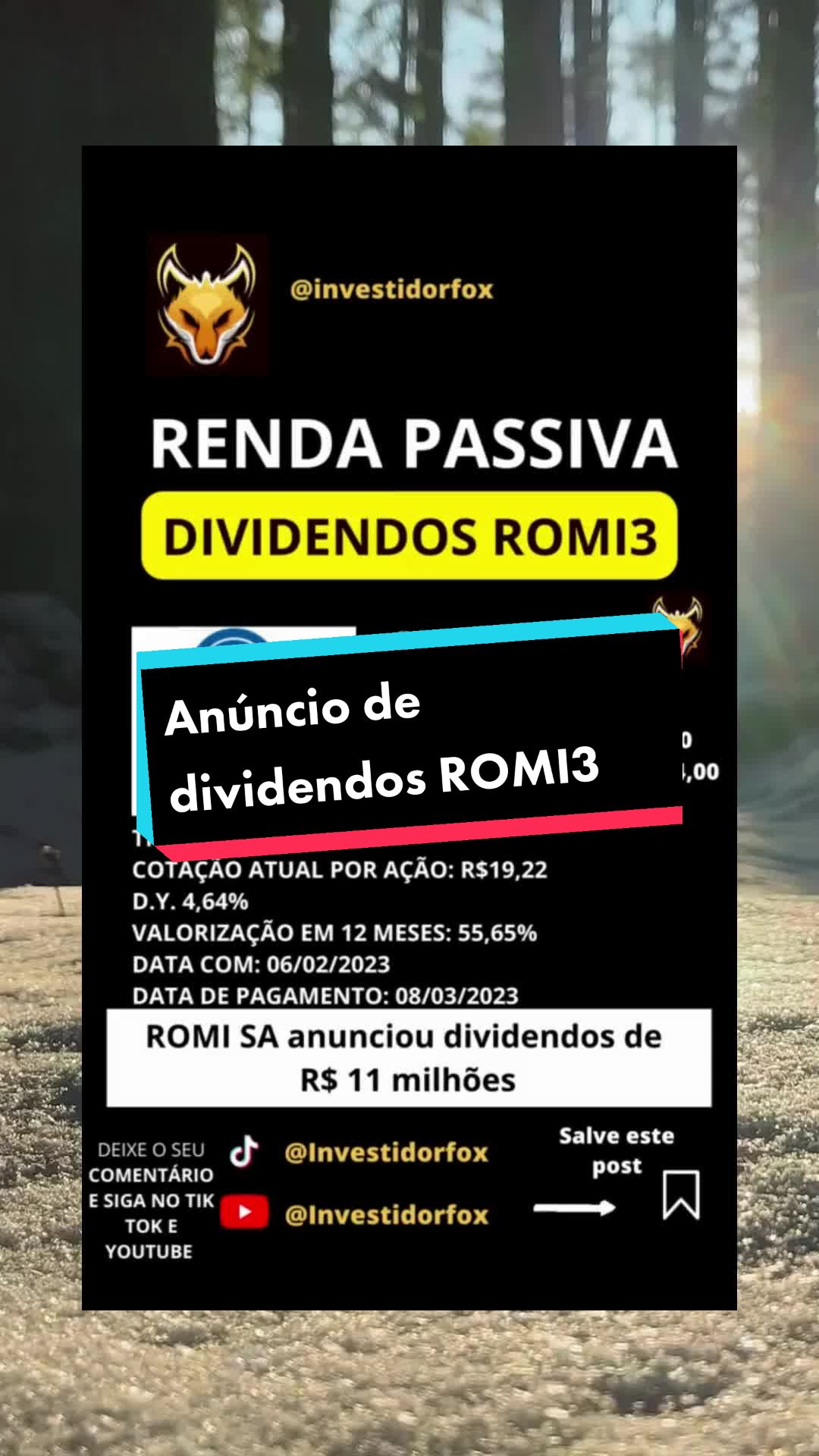 @InvestidorFox