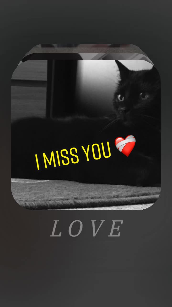 @Mandy Porebski