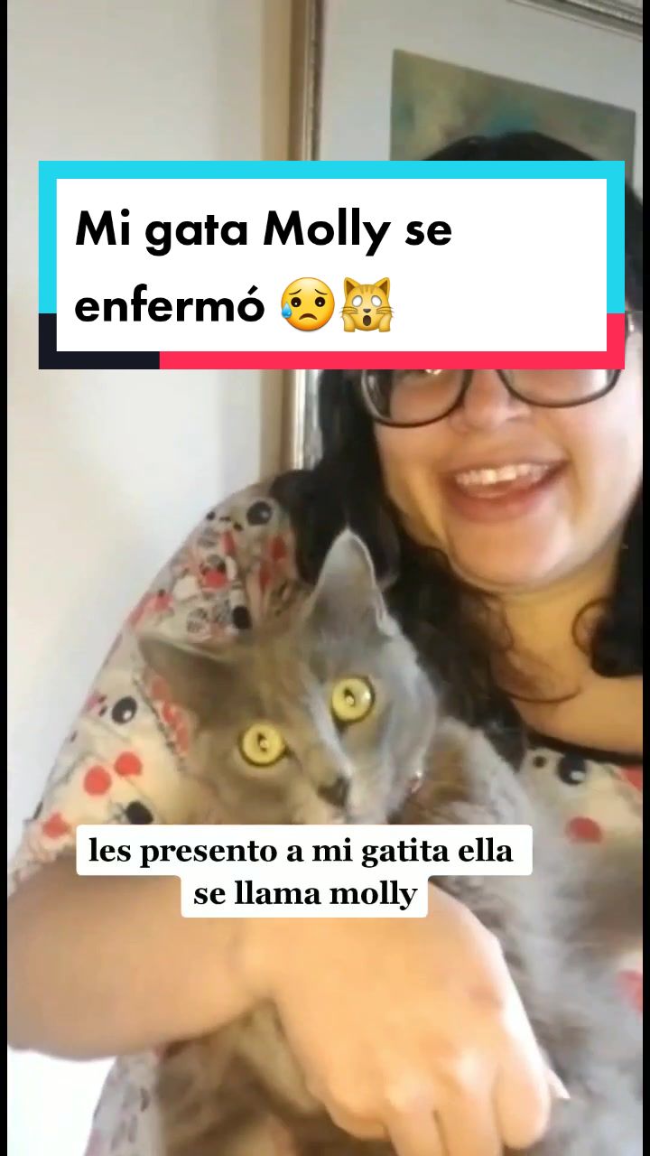 @delimascotas