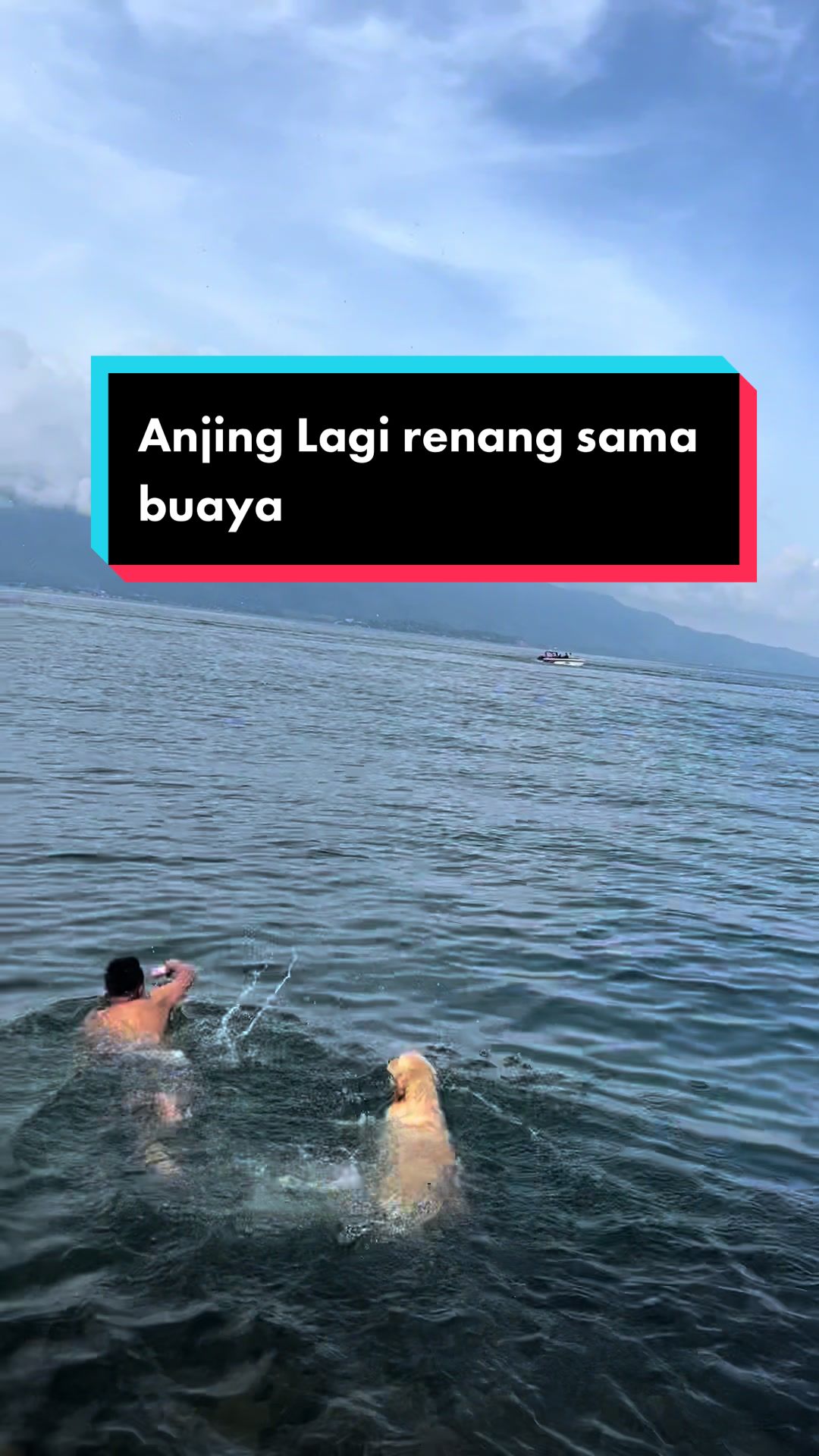 @Michael Marbun