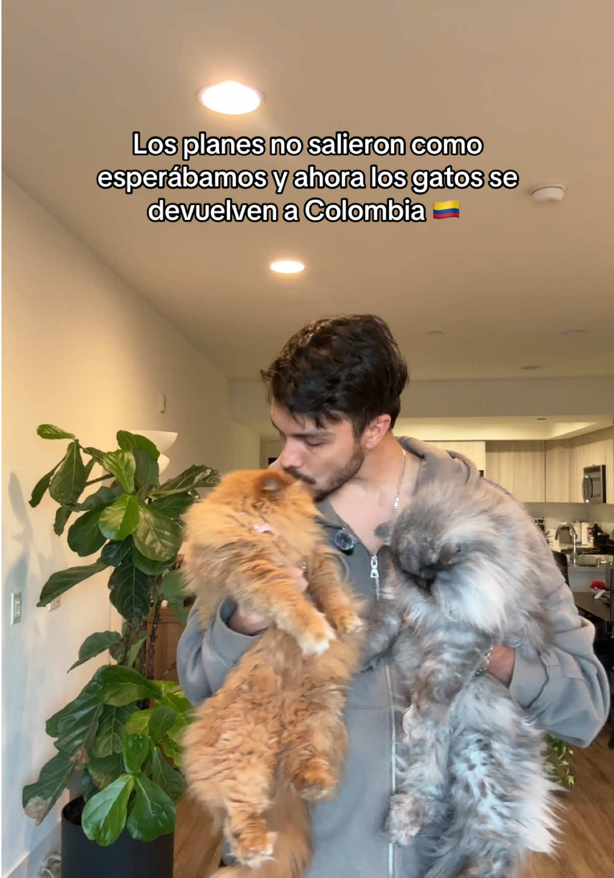 @Sebastian Ferreira