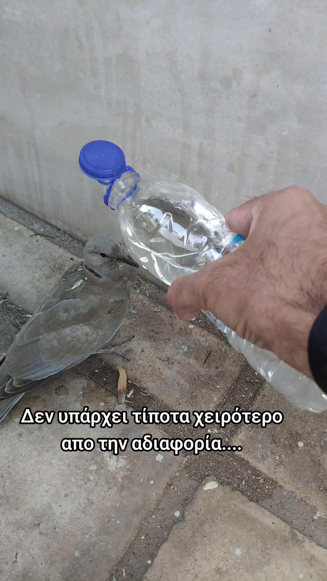 @George Ako