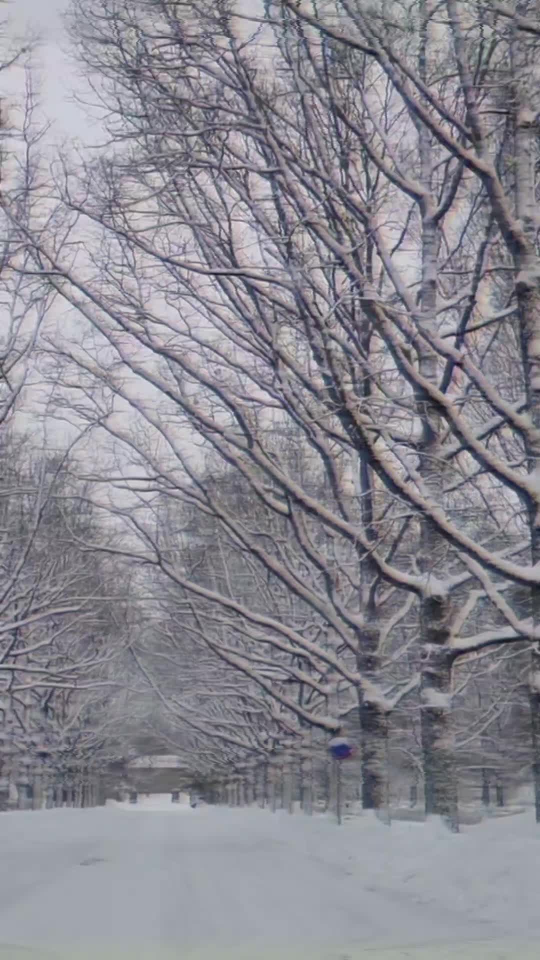 @fe55e