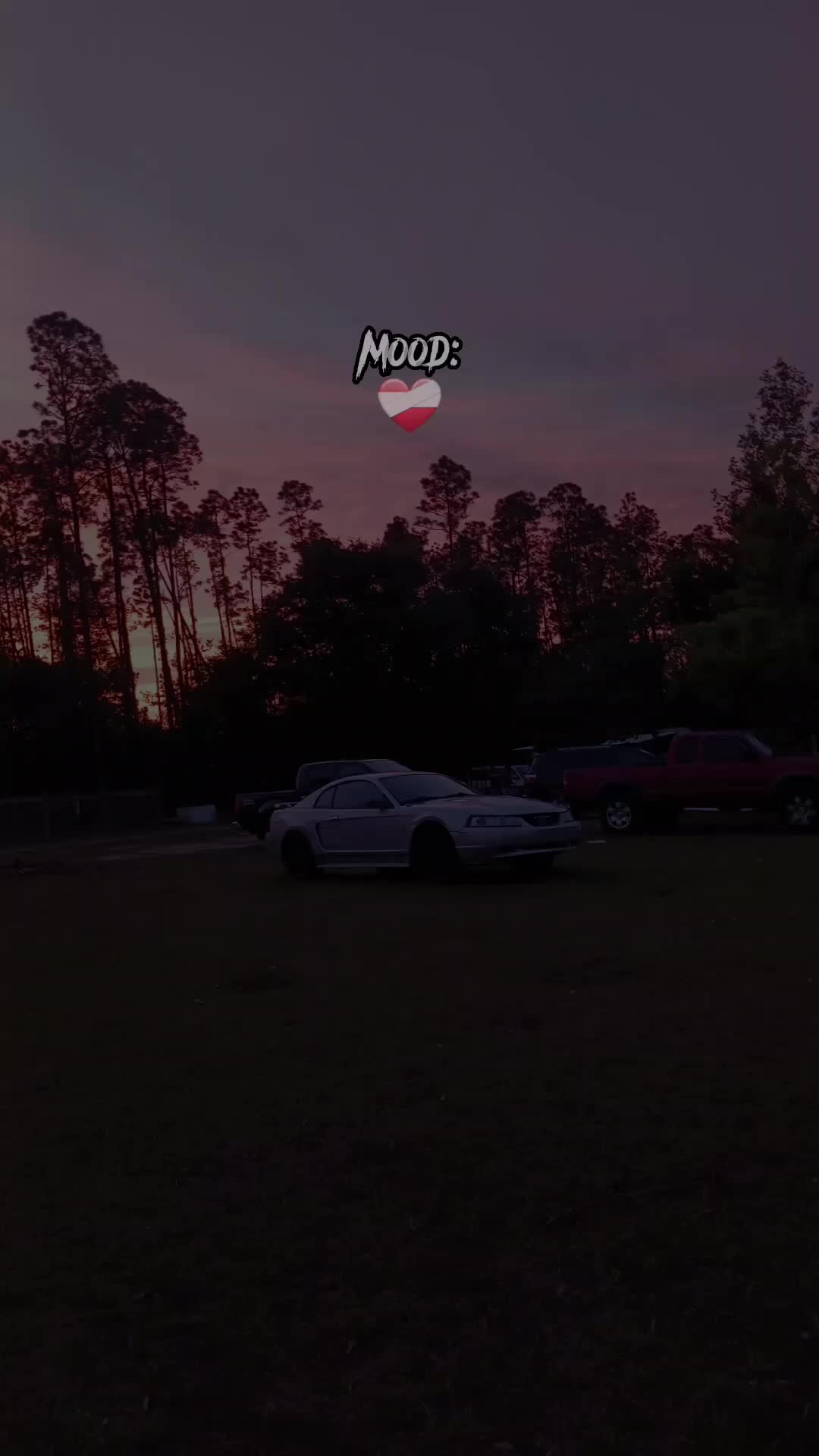 @arielramos459